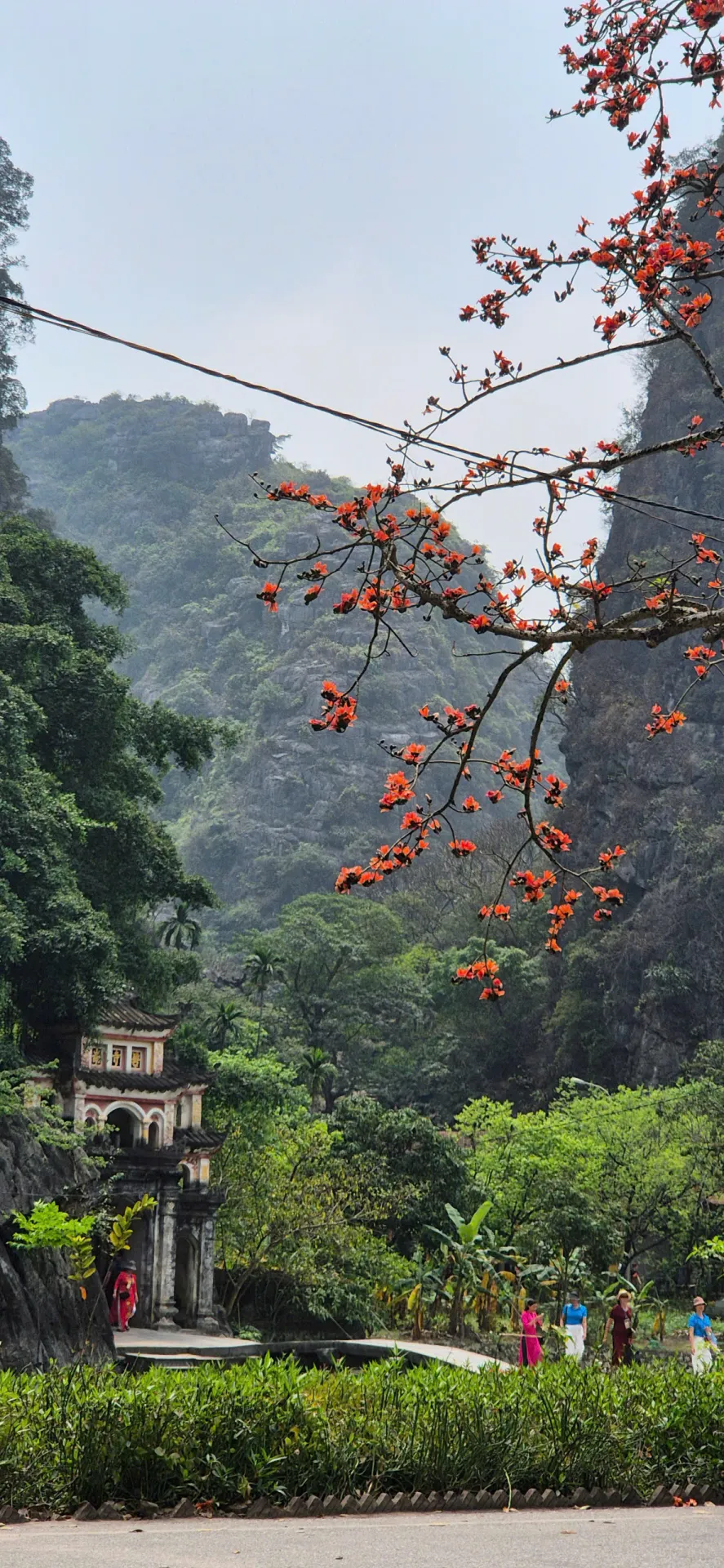 BAI DINH - HOA LU – TRANG AN - MUA CAVE - 1 DAY TRIP